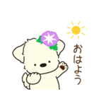 ふらふぃーとチャビィの日常スタンプ（夏）（個別スタンプ：21）