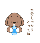 ふらふぃーとチャビィの日常スタンプ（夏）（個別スタンプ：24）