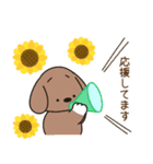 ふらふぃーとチャビィの日常スタンプ（夏）（個別スタンプ：31）