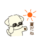 ふらふぃーとチャビィの日常スタンプ（夏）（個別スタンプ：33）
