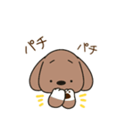 ふらふぃーとチャビィの日常スタンプ（夏）（個別スタンプ：36）