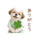ポジティブな気持ちを伝えるシーズー（個別スタンプ：3）