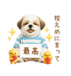 ポジティブな気持ちを伝えるシーズー（個別スタンプ：5）