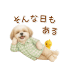 ポジティブな気持ちを伝えるシーズー（個別スタンプ：13）
