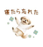 ポジティブな気持ちを伝えるシーズー（個別スタンプ：15）