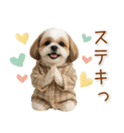 ポジティブな気持ちを伝えるシーズー（個別スタンプ：18）