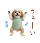 ポジティブな気持ちを伝えるシーズー（個別スタンプ：19）