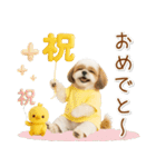 ポジティブな気持ちを伝えるシーズー（個別スタンプ：23）