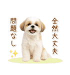 ポジティブな気持ちを伝えるシーズー（個別スタンプ：32）