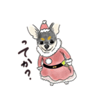 スムースチワワのあずきちゃん(◐ㅈ◐)（個別スタンプ：3）