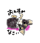 スムースチワワのあずきちゃん(◐ㅈ◐)（個別スタンプ：4）