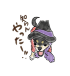 スムースチワワのあずきちゃん(◐ㅈ◐)（個別スタンプ：5）