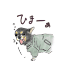 スムースチワワのあずきちゃん(◐ㅈ◐)（個別スタンプ：8）