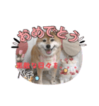 RoRoMi beautiful（個別スタンプ：2）