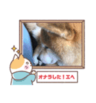 RoRoMi beautiful（個別スタンプ：5）