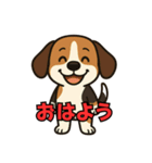 ごきげんビーグルの毎日スタンプ（個別スタンプ：1）