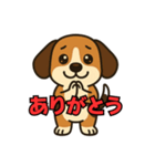 ごきげんビーグルの毎日スタンプ（個別スタンプ：6）