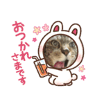 奏楽のまいにち日常使い（個別スタンプ：2）