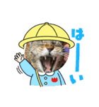 奏楽のまいにち日常使い（個別スタンプ：3）