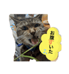 奏楽のまいにち日常使い（個別スタンプ：6）