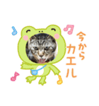 奏楽のまいにち日常使い（個別スタンプ：8）