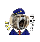 奏楽のまいにち日常使い（個別スタンプ：11）