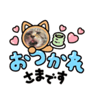 奏楽のまいにち日常使い（個別スタンプ：12）