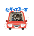 奏楽のまいにち日常使い（個別スタンプ：13）