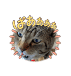 奏楽のまいにち日常使い（個別スタンプ：14）