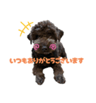 ラウレア5（個別スタンプ：1）