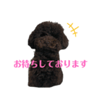 ラウレア5（個別スタンプ：5）