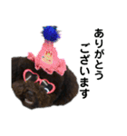 ラウレア5（個別スタンプ：6）