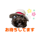 ラウレア5（個別スタンプ：8）