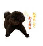 ラウレア5（個別スタンプ：10）