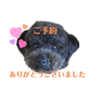 ラウレア5（個別スタンプ：11）
