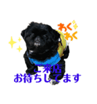 ラウレア5（個別スタンプ：13）