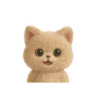 大人可愛い♡テディベアみたいなふわふわ猫（個別スタンプ：2）