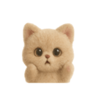 大人可愛い♡テディベアみたいなふわふわ猫（個別スタンプ：3）