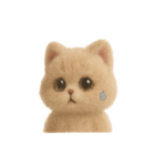 大人可愛い♡テディベアみたいなふわふわ猫（個別スタンプ：5）