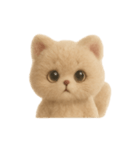 大人可愛い♡テディベアみたいなふわふわ猫（個別スタンプ：6）