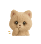 大人可愛い♡テディベアみたいなふわふわ猫（個別スタンプ：11）