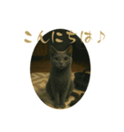 sinatra2025（個別スタンプ：2）