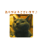 sinatra2025（個別スタンプ：7）