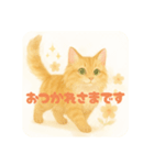 メインクーンかソマリさん2（個別スタンプ：12）