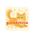 メインクーンかソマリさん2（個別スタンプ：13）