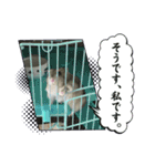 いろいろなとのまる。（個別スタンプ：2）