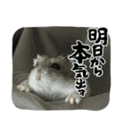 いろいろなとのまる。（個別スタンプ：3）