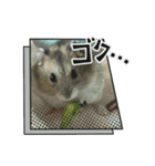 いろいろなとのまる。（個別スタンプ：4）