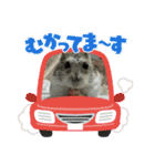 いろいろなとのまる。（個別スタンプ：6）