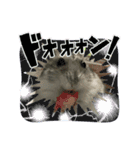 いろいろなとのまる。（個別スタンプ：12）